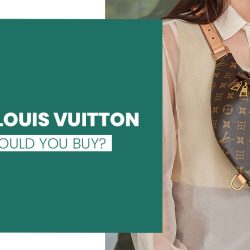 Which Louis Vuitton Speedy Should You Buy