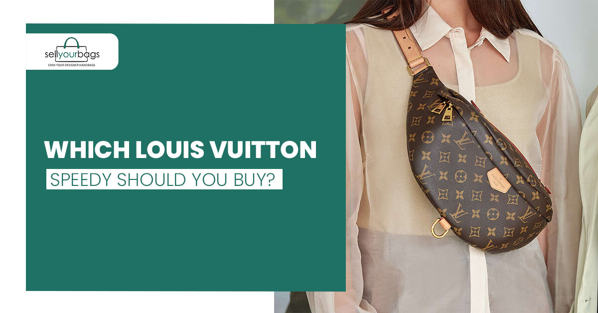 Which Louis Vuitton Speedy Should You Buy