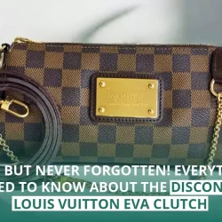 Gone But Never Forgotten! Everything you need to know about the discontinued Louis Vuitton Eva Clutch