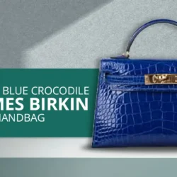 Hermes Birkin, the only Bags Worth Investing at the Moment