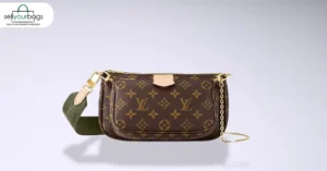 Louis Vuitton Multi-Pochette Accessoires 