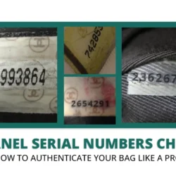 Chanel Serial Number Check